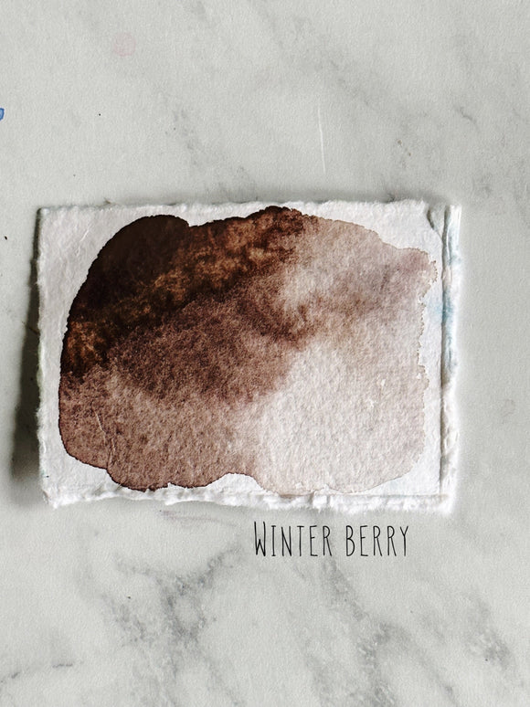 Winter Berry  (seconds)