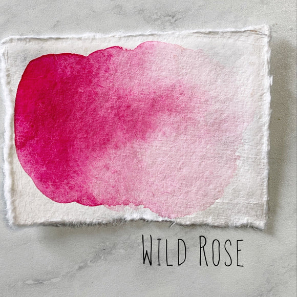 Wild Rose (seconds)