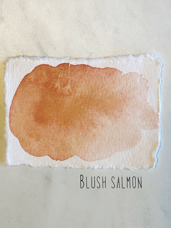 Blush Salmon (seconds)