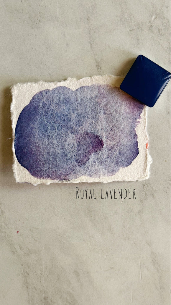 Royal Lavender