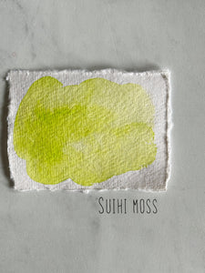 Suihi Moss (Seconds)