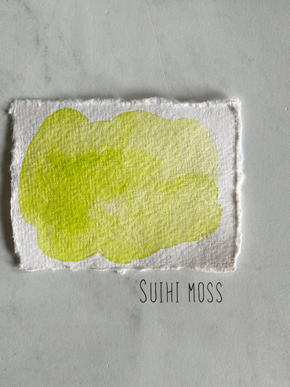 Suihi Moss (Seconds)