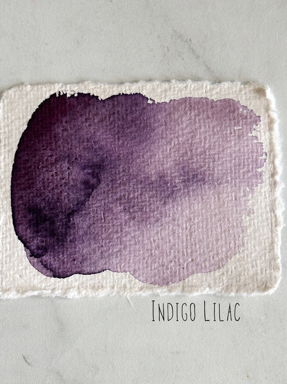 Indigo lilac