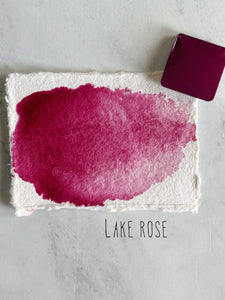 Lake rose