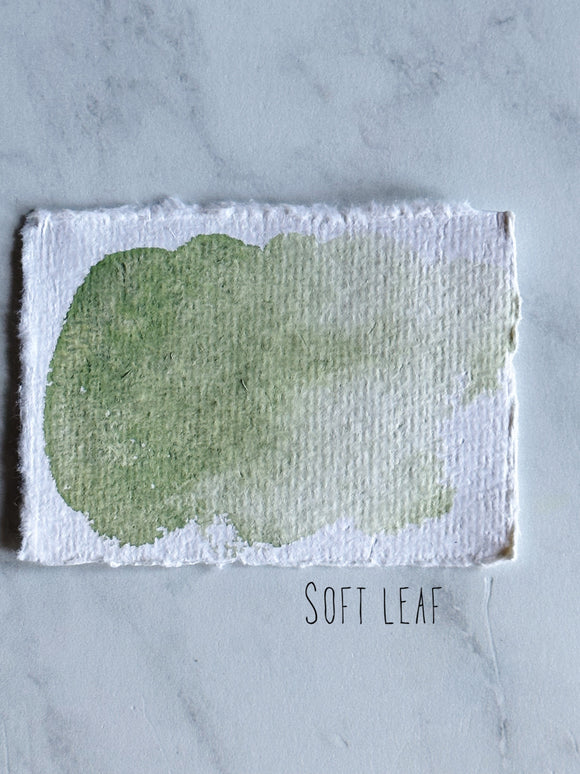 Soft leaf