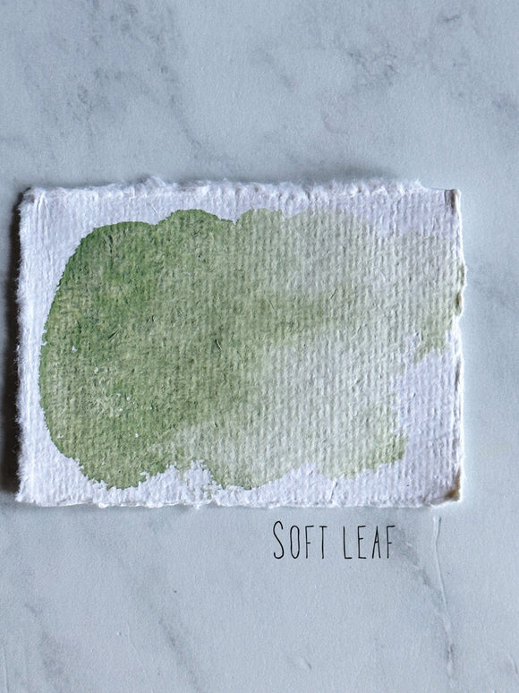 Soft leaf (Seconds)