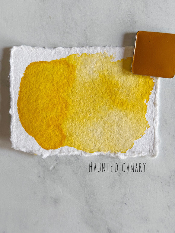 Haunted canary (seconds)