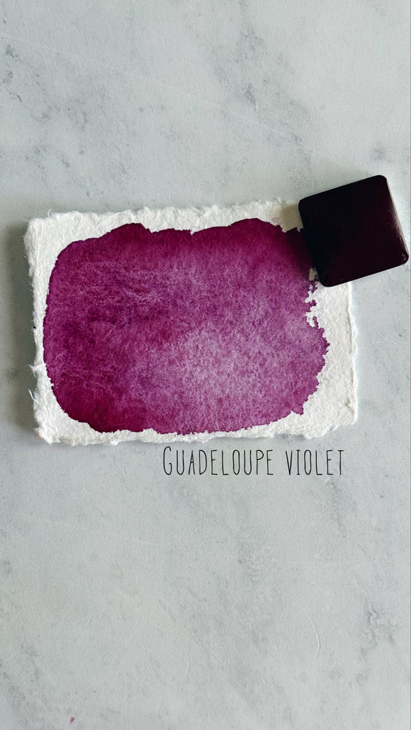 Guadalupe Violet (seconds)