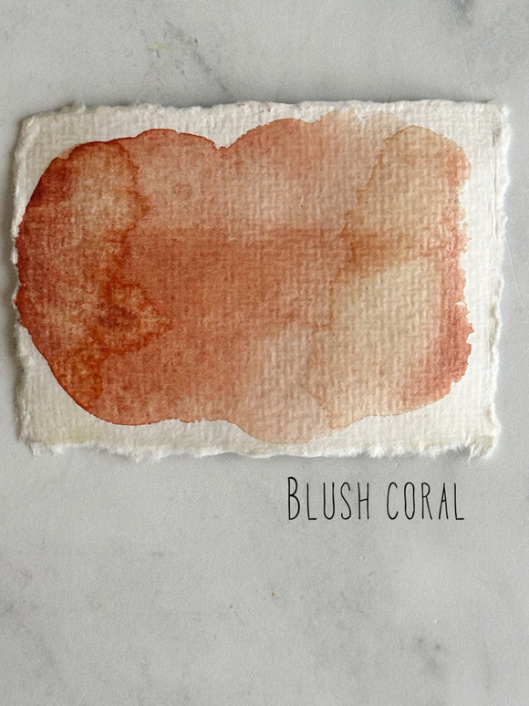 Blush coral (seconds)