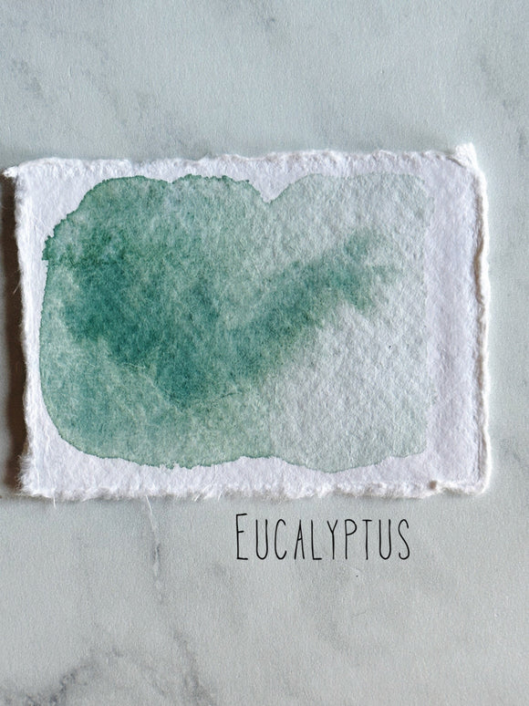 Eucalyptus (seconds)