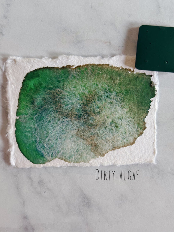Dirty Algae