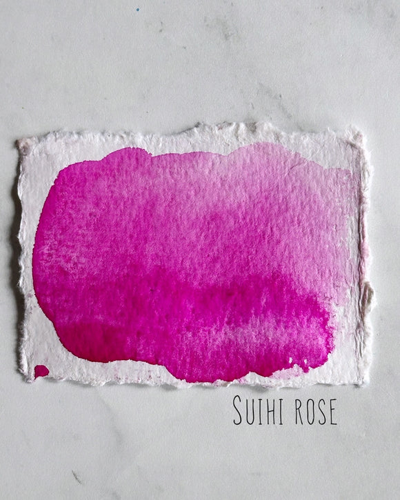 Suihi Rose