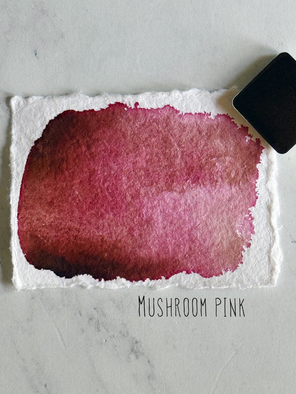 Mushroom pink