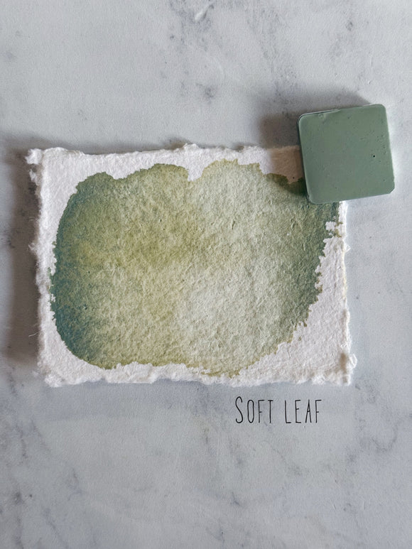 Soft leaf