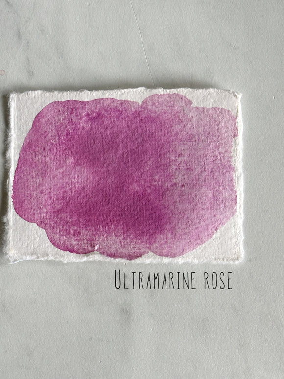 Ultramarine Rose (Seconds)