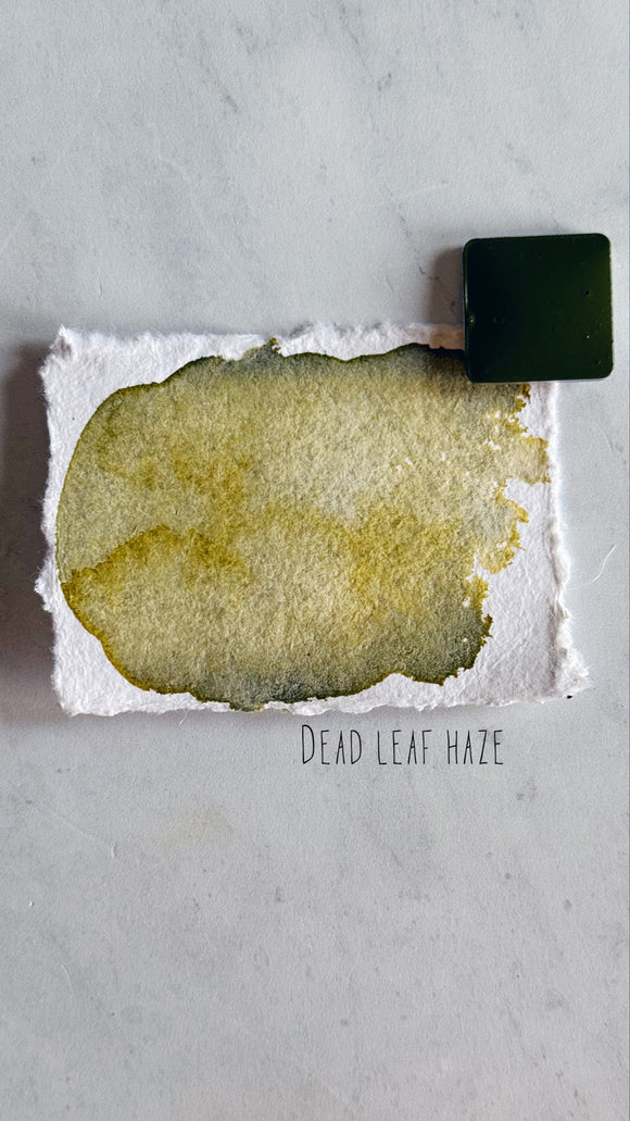 Dead leaf haze (seconds)
