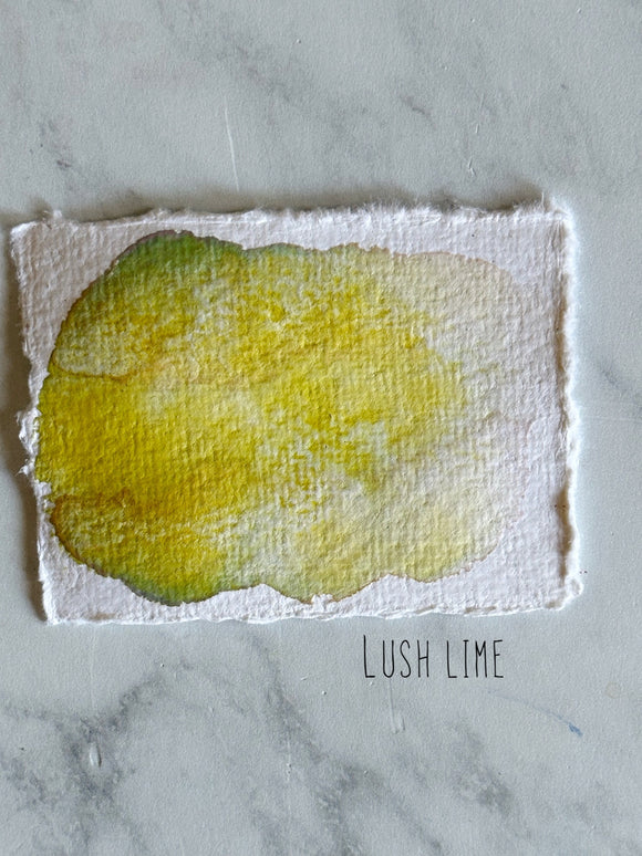 Lush Lime (seconds)