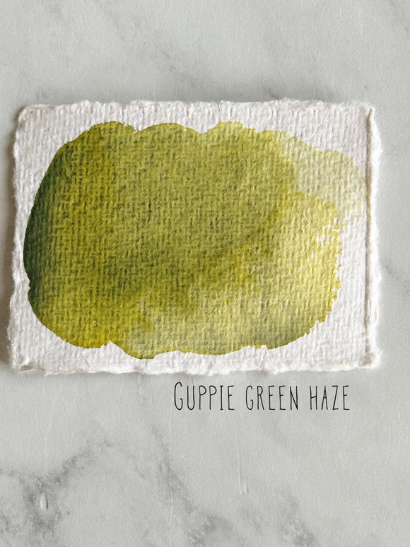 Guppie Green Haze (Seconds)