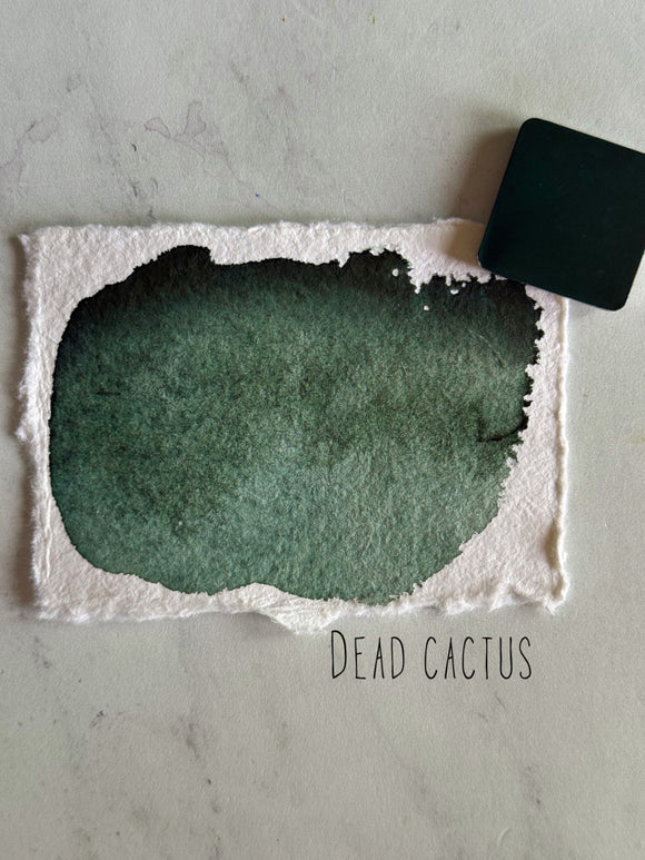 Dead Cactus