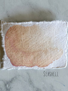 Seashell