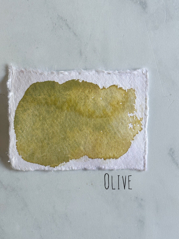 Olive (Seconds)