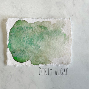 Dirty Algae (Seconds)