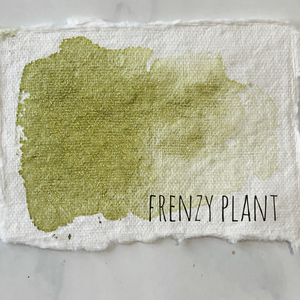Frenzy Plant