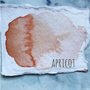 Apricot (seconds)