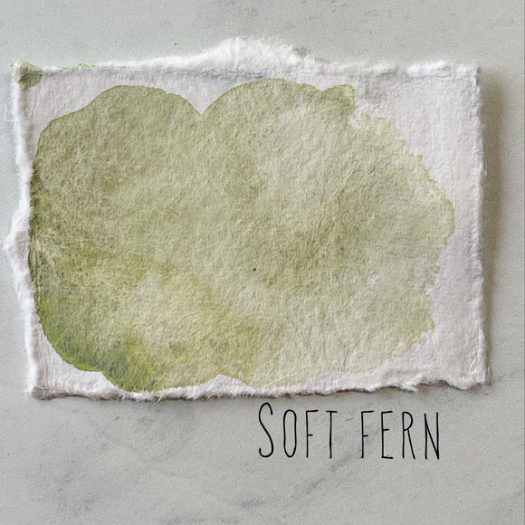 Soft Fern